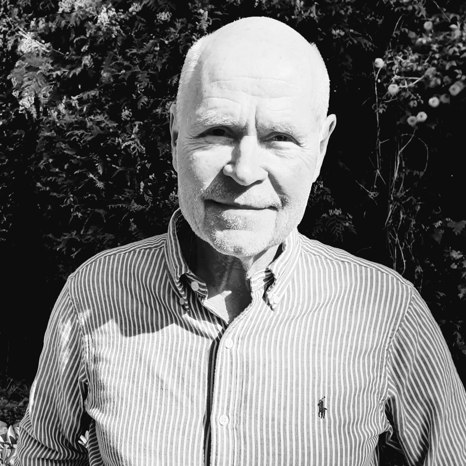 Peter Andersson